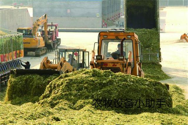 必威 betway必威煤炭资源告急就用燃料颗粒秸秆稻草和木料做成燃料可真好(图3)