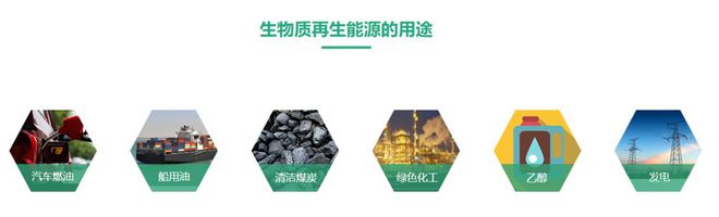 温岭90后女孩的生物质燃料梦 取代传统从石化产品提取石油焦的做法目必威 betway必威前已实现每天1吨石油焦的产量(图2)