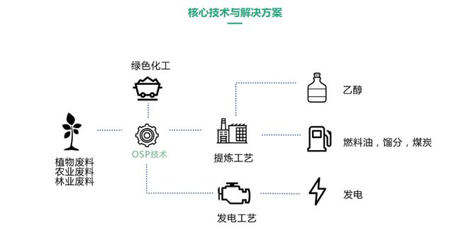 温岭90后女孩的生物质燃料梦 取代传统从石化产品提取石油焦的做法目必威 betway必威前已实现每天1吨石油焦的产量(图3)