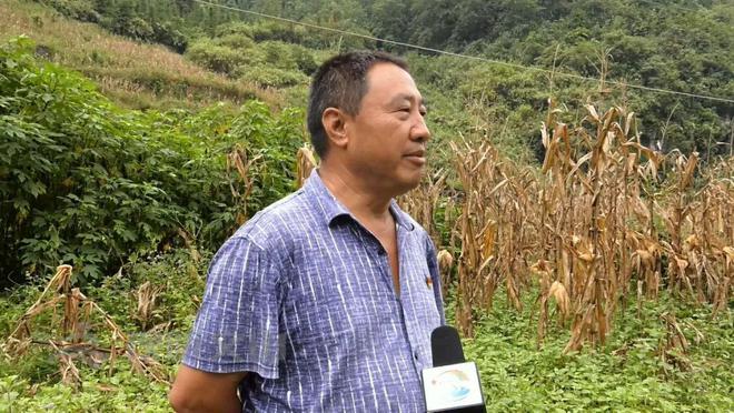 必威 betway必威文山州这里农林剩物变废为宝(图6)