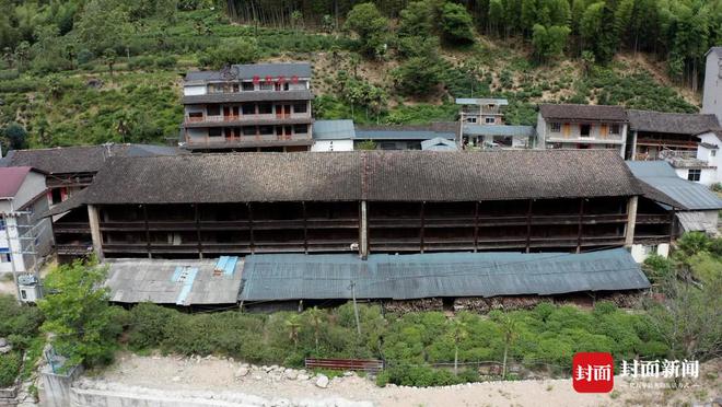 难舍“松香味”：红茶发源地松木禁入 烟熏工艺的留与变 公园中国·武夷山下必威 必威betway(图3)