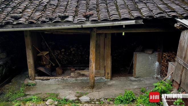 难舍“松香味”：红茶发源地松木禁入 烟熏工艺的留与变 公园中国·武夷山下必威 必威betway(图5)