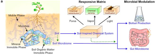 Nature子刊：田博之林艺良高翔等开发土壤仿生材料实现微生物功能调控必威 必威betway(图2)