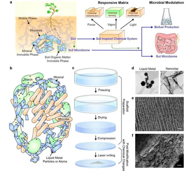 Nature子刊：田博之林艺良高翔等开发土壤仿生材料实现微生物功能调控必威 必威betway(图3)