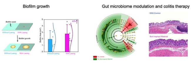 Nature子刊：田博之林艺良高翔等开发土壤仿生材料实现微生物功能调控必威 必威betway(图6)