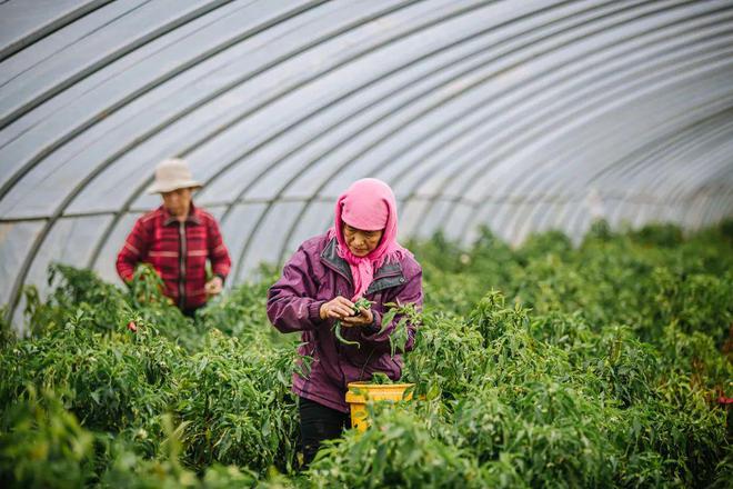 项目进展｜如何让更多妇女平等地参与并领导气候行动？必威 betway必威(图1)