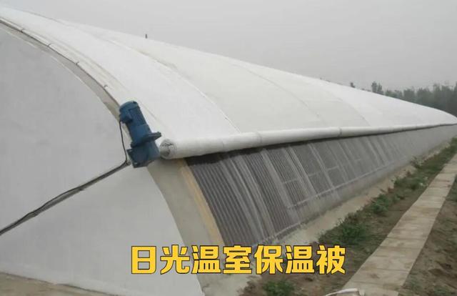 必威 betway必威冬季温室种植如何做好防寒、防病虫害？这“三要素”一定要做好(图3)