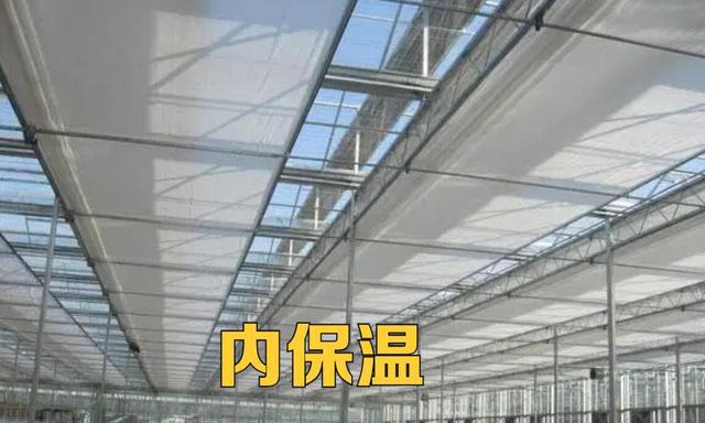 必威 betway必威冬季温室种植如何做好防寒、防病虫害？这“三要素”一定要做好(图4)