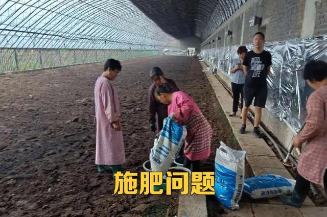 必威 betway必威冬季温室种植如何做好防寒、防病虫害？这“三要素”一定要做好(图8)