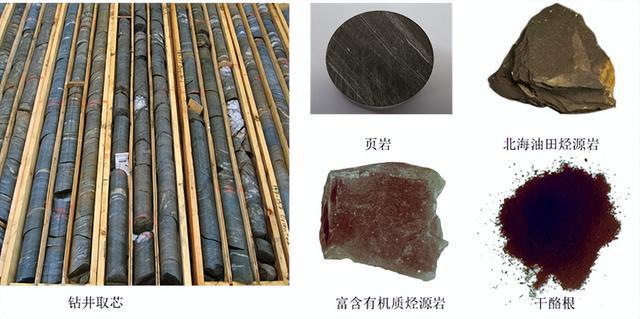 必威 betway必威石油是来自地球内部的太初物质永不枯竭这观点似乎将成为事实(图11)