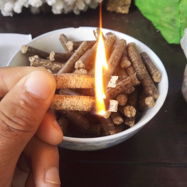 生物质燃料必威 betway必威的加工及其应用(图2)