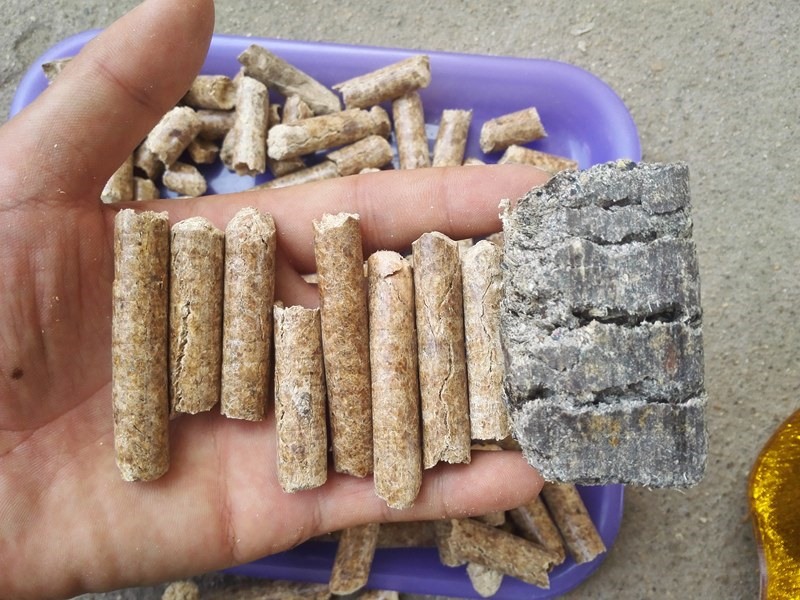 生物质燃料必威 betway必威的加工及其应用(图3)