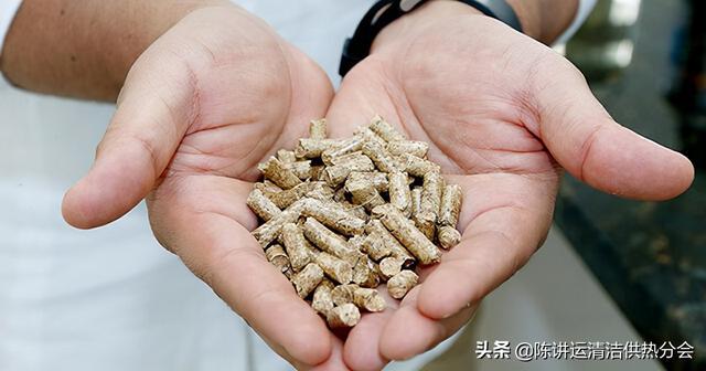 哈佛初创公司必威 必威betway生产生物质(图2)