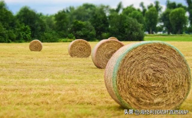 必威 betway必威辽宁省:鼓励在乡镇农村人口聚集区采用生物质锅炉集中供暖(图3) 必威 betway必威辽宁省:鼓励在乡镇农村人口聚集区采用生物质锅炉集中供暖(图3)