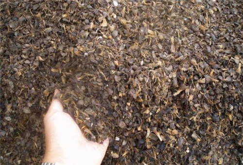 必威 必威betway生物质锅炉的燃料是什么？哪种生物质燃料好？(图3)