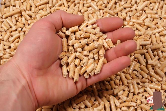 必威 必威betway最新研究：欧盟鼓励的木质燃料实际比化石能源的排放量高出一倍(图1)