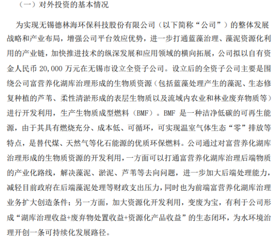 必威 betway必威德林海拟2亿设立全资子公司无锡德林海生物质新能源有限公司(图1)