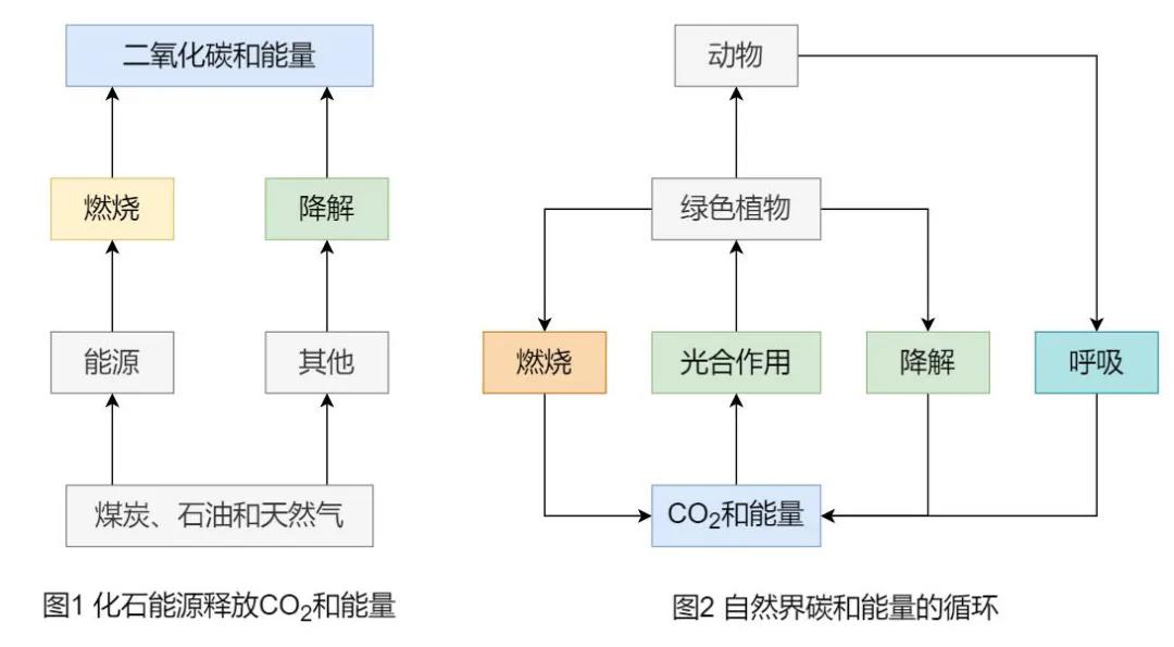 必威 必威betway涨知识了！为什么说生物质能是“零碳”能源(图1)