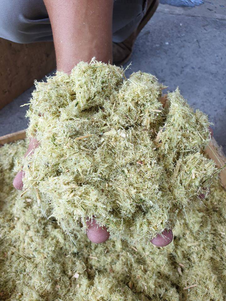 生物质能源的燃料化利用必威 必威betway方式(图1)