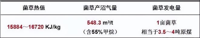 必威 betway必威亩产值高达30吨种一次能收割15年！种植巨菌草真的可以赚钱吗？(图8)