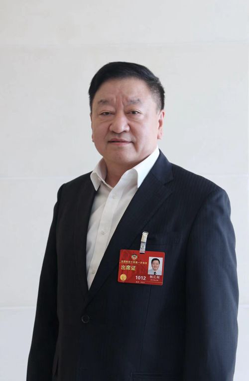 立足资源禀赋 协同建设新型能源体系必威 必威betway(图4)
