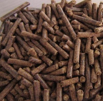 生必威 必威betway物质燃料 生物质燃料有何优势？(图2)