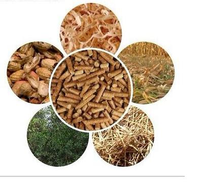 生必威 必威betway物质燃料 生物质燃料有何优势？(图1)
