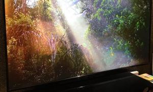 必威 betway必威生物质燃料市场分析 政策扶持下行业发展迅速(图5)