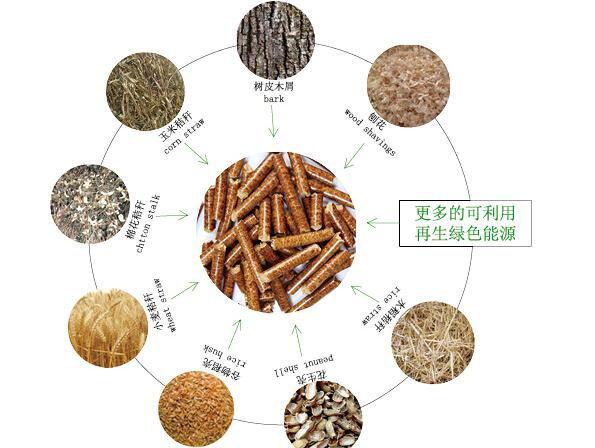 必威 必威betway生物质燃料是怎么来的？(图1)