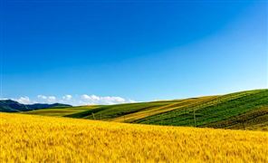 生物质燃料产业规模 生物质燃料产业发展趋必威 必威betway势(图3)