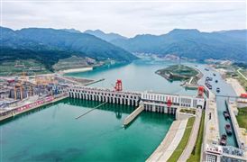 生物质燃料产业规模 生物质燃料产业发展趋必威 必威betway势(图2)