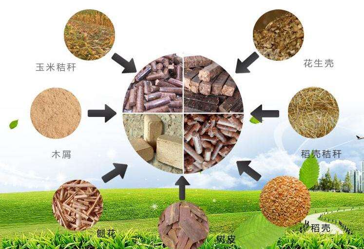 必威 betway必威生物燃料_全球百科(图1)