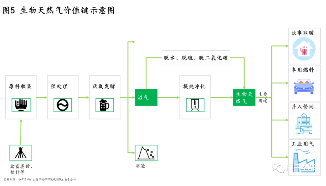 生物质能：一座待发掘的能源宝库 但挑战并存必威 必威betway(图6)