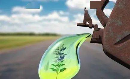 必威 必威betway生物燃料或成可再生能源开发利用的重要方向(图1)