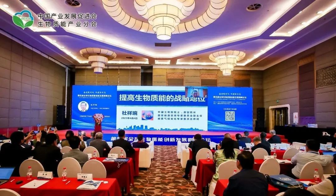 必威 betway必威杜祥琬院士：提高生物质能战略地位势在必行(图1)