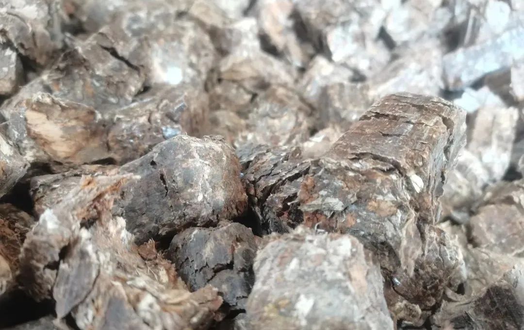 必威 betway必威新疆巩留：多举措赋能绿色高质量发展(图1)