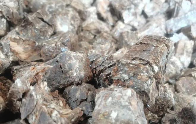 必威 必威betway巩留：多举措赋能绿色高质量发展(图2)
