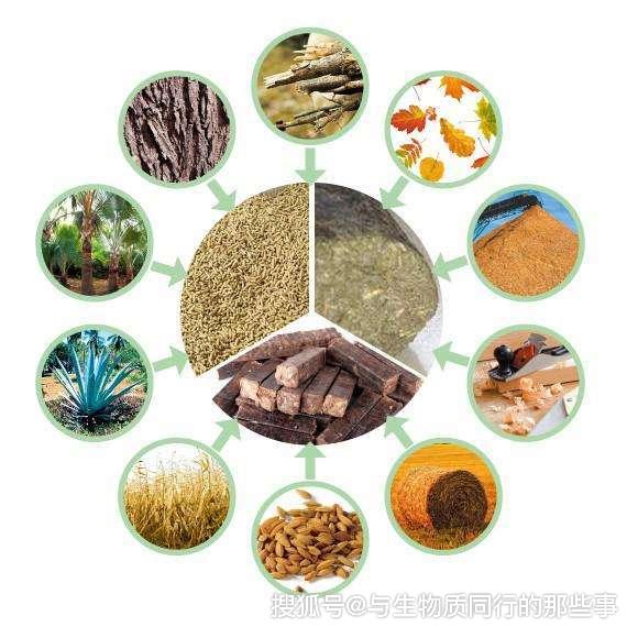 必威 必威betway生物燃料种类有哪些？是不是都环保的？(图1)