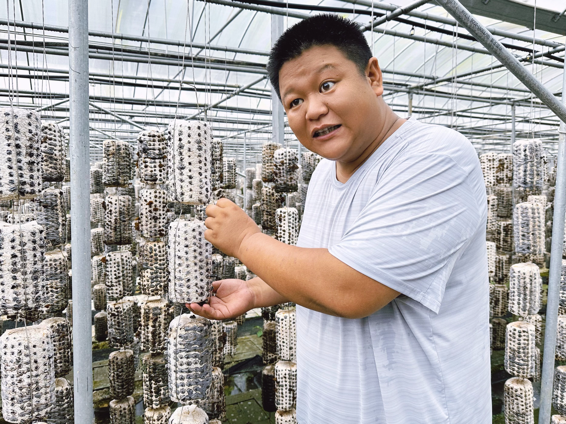 书记讲故事丨来自秦岭的小木耳必威 betway必威竟是金耳朵(图1)
