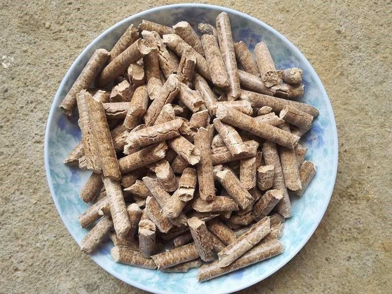 必威 betway必威生物燃料的好处是什么(图2)
