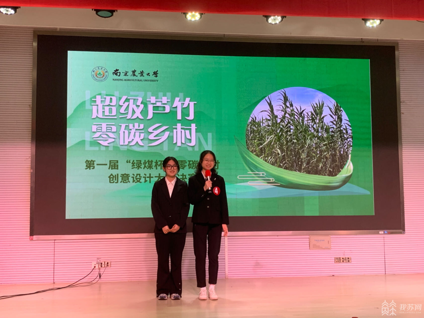 能发电 能修复土壤 能吸附重金属 小小植物却有大大能量必威 betway必威(图1)