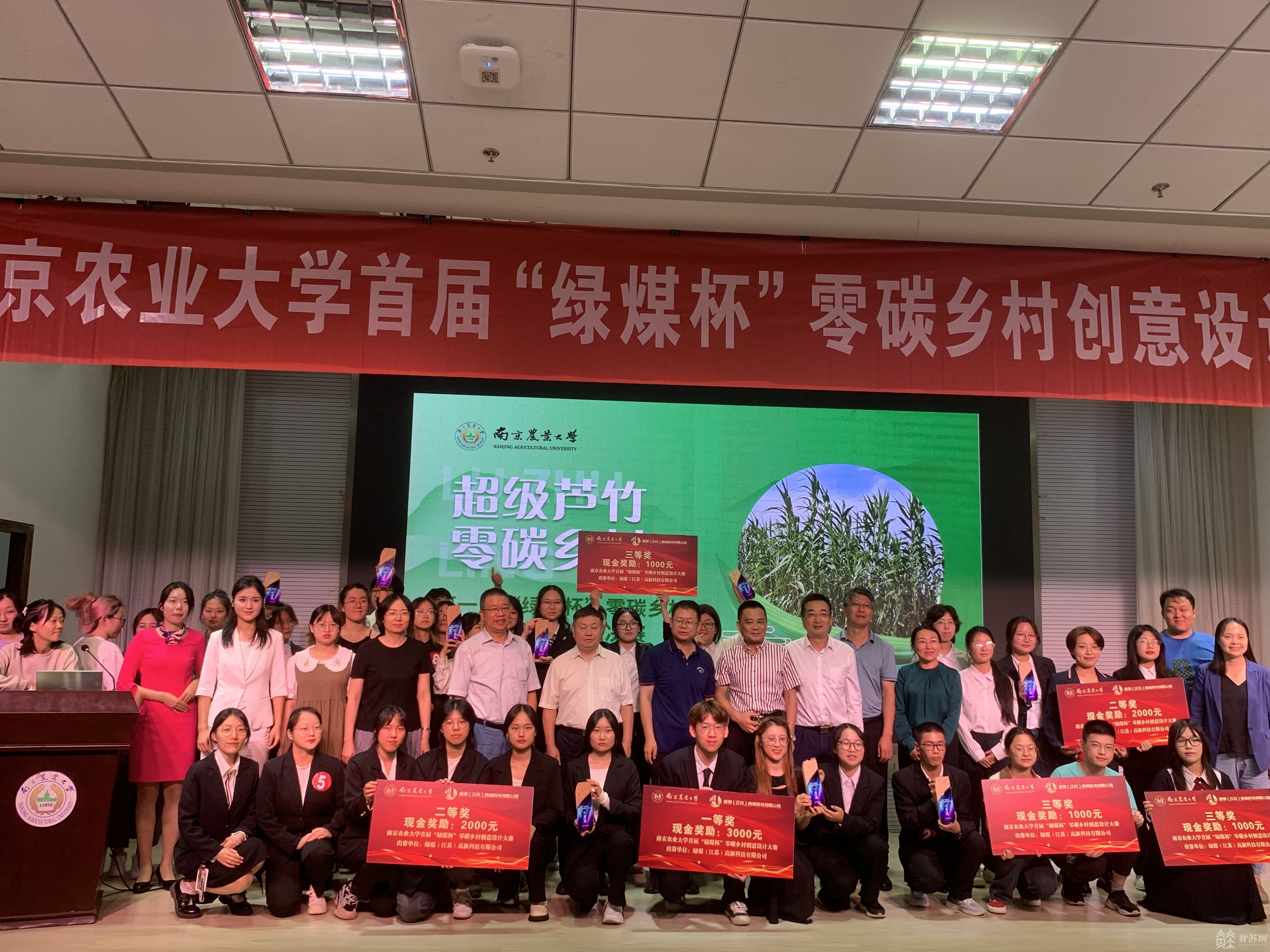 能发电 能修复土壤 能吸附重金属 小小植物却有大大能量必威 betway必威(图3)