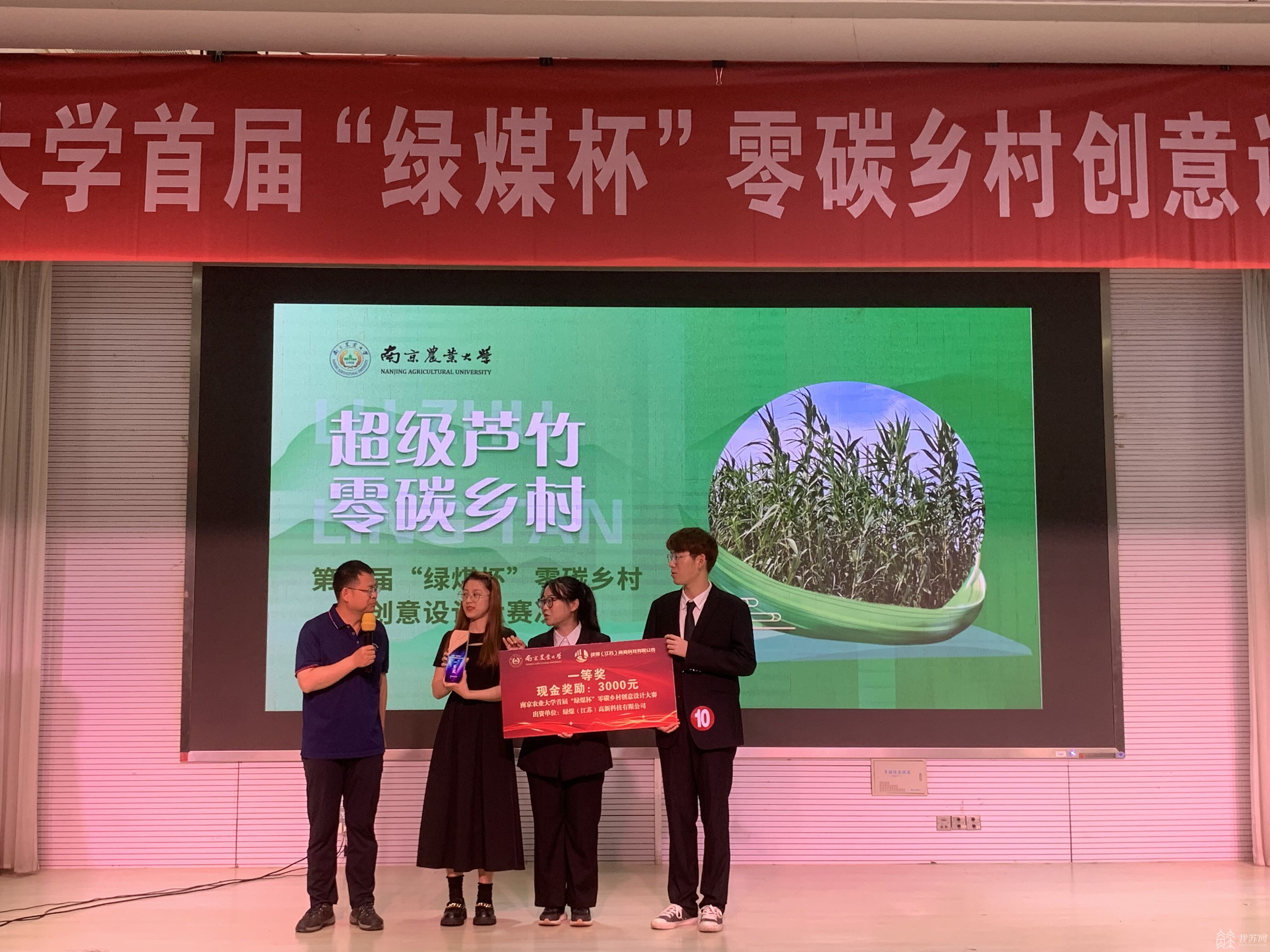 能发电 能修复土壤 能吸附重金属 小小植物却有大大能量必威 betway必威(图4)
