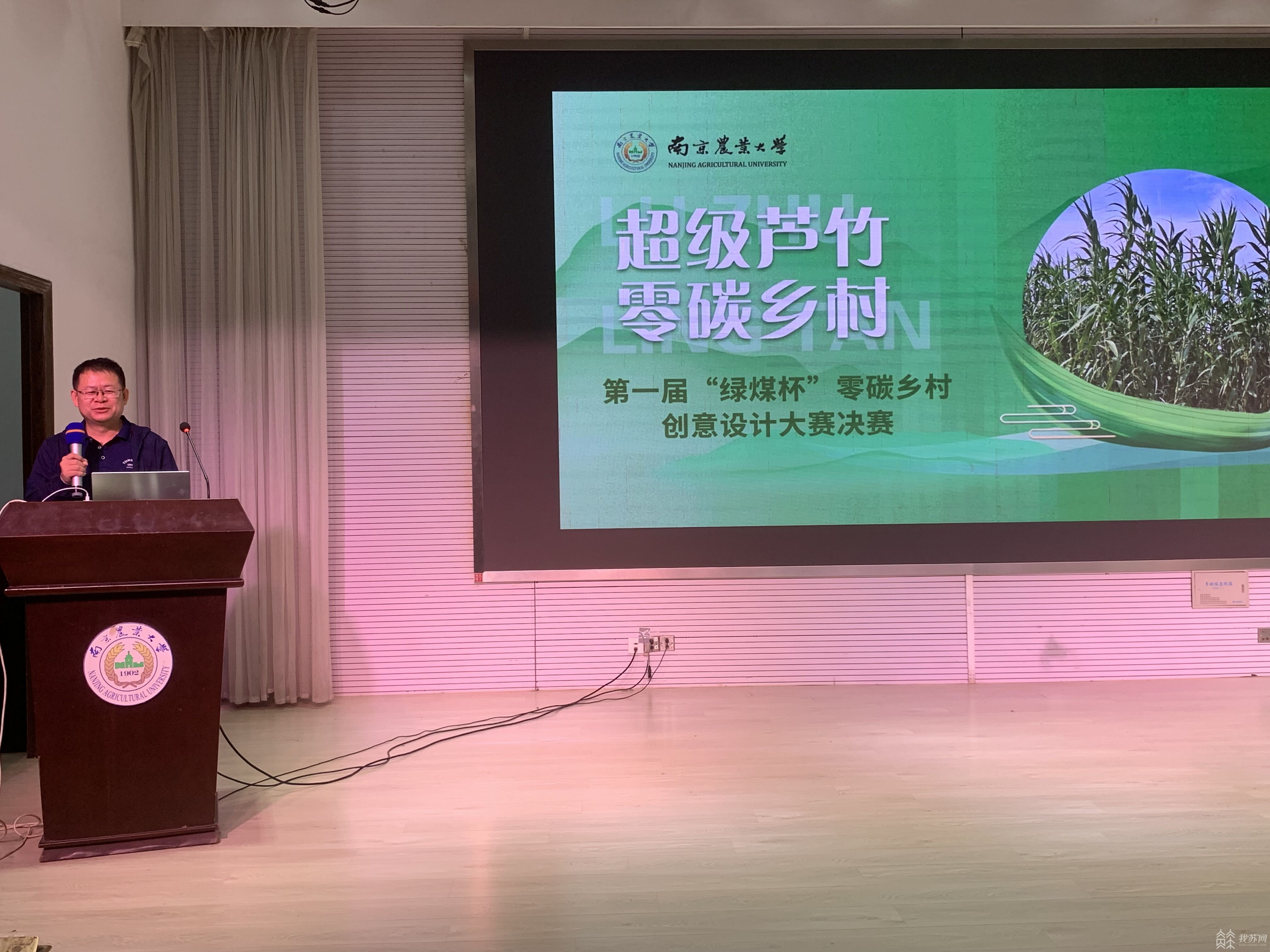 能发电 能修复土壤 能吸附重金属 小小植物却有大大能量必威 betway必威(图5)