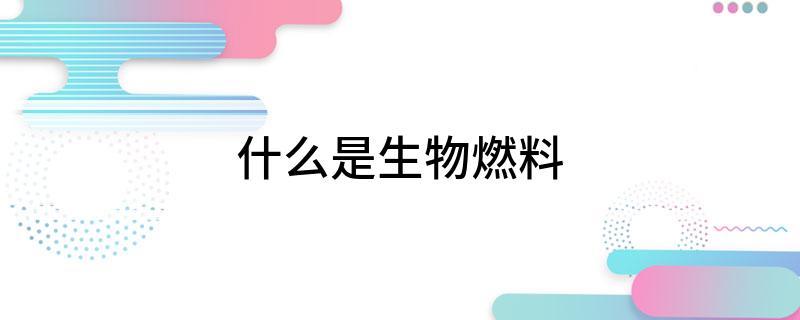 必威 betway必威什么是生物燃料(图1)