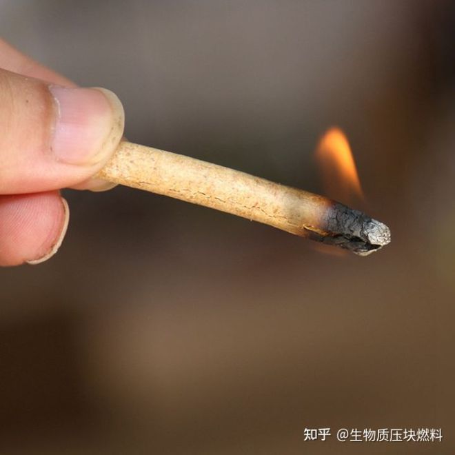 生物质颗粒燃料与生物质压块燃料哪个更畅销有什么优点？必威 betway必威(图1)