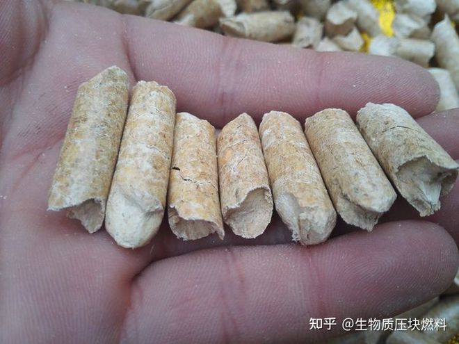 生物质颗粒燃料与生物质压块燃料哪个更畅销有什么优点？必威 betway必威(图3)