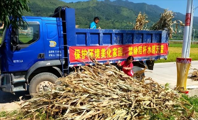 秸秆综合利用：夏收大量秸秆禁烧必威 必威betway的新思路(图6)