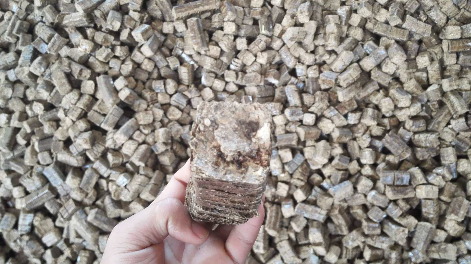 唐必威 betway必威山生物质燃料报价(图5)