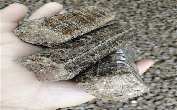 必威 必威betway邢台生物质燃料价格(图3)